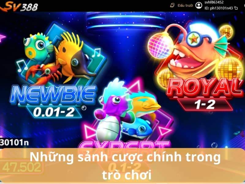 Bắn cá Disco có 3 sảnh cược dành cho người chơi Bắn cá Disco có 3 sảnh cược dành cho người chơi