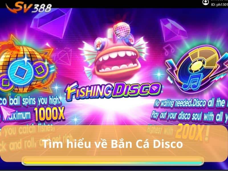 Bắn cá Disco là tựa game trực tuyến tại bắn cá SV388 Bắn cá Disco là tựa game trực tuyến tại bắn cá SV388