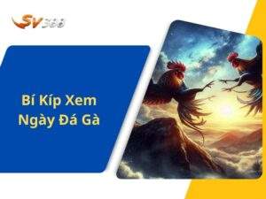 Bí Kíp Xem Ngày Đá Gà, Chọn Ngày Đá Gà Tốt Chính Xác Nhất