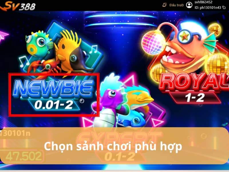Chọn sảnh cược và bấm Play để bắt đầu chơi Chọn sảnh cược và bấm Play để bắt đầu chơi