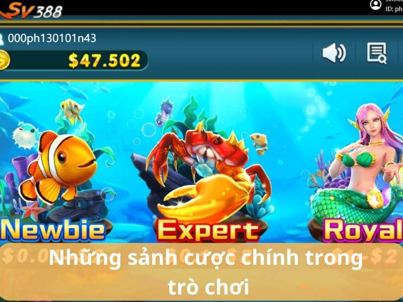 Huyền Thoại Săn Cá có 3 sảnh cược cho mọi người chơi