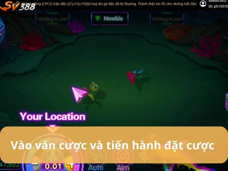 Vào ván chơi và tiến hành bắn cá Vào ván chơi và tiến hành bắn cá