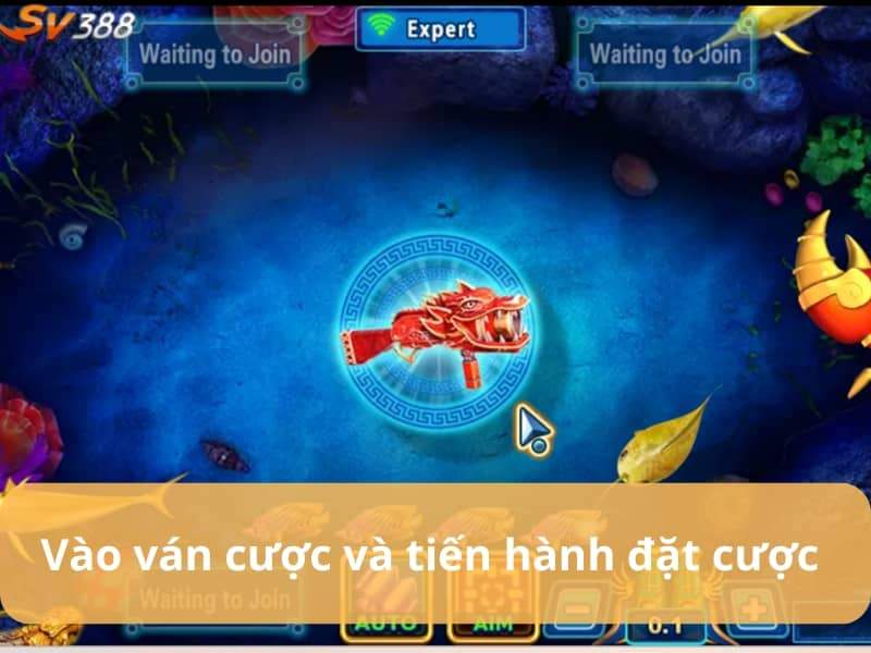 Vào ván cược và tiến hành bắn cá