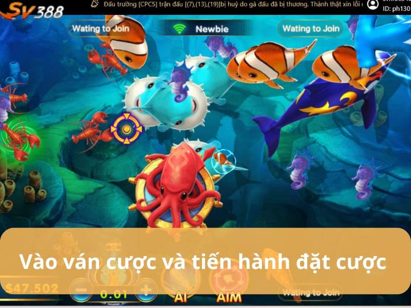 Vào ván cược và tiến hành đặt cược