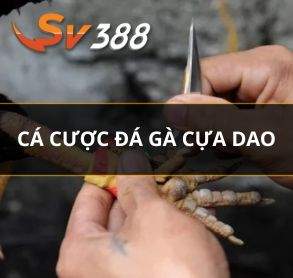 Đá Gà Trực Tuyến – Sân Chơi Cá Cược Đá Gà Đẳng Cấp Của SV388