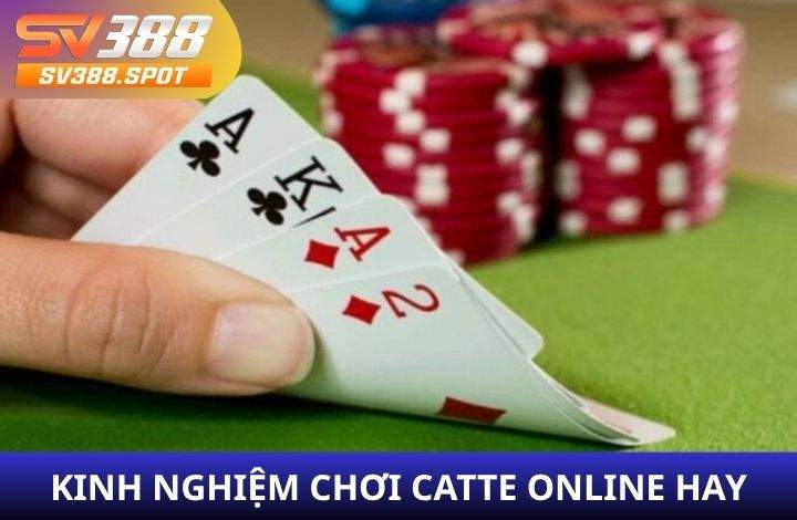 Kinh nghiệm chơi Catte Online hay từ cao thủ Kinh nghiệm chơi Catte Online hay từ cao thủ
