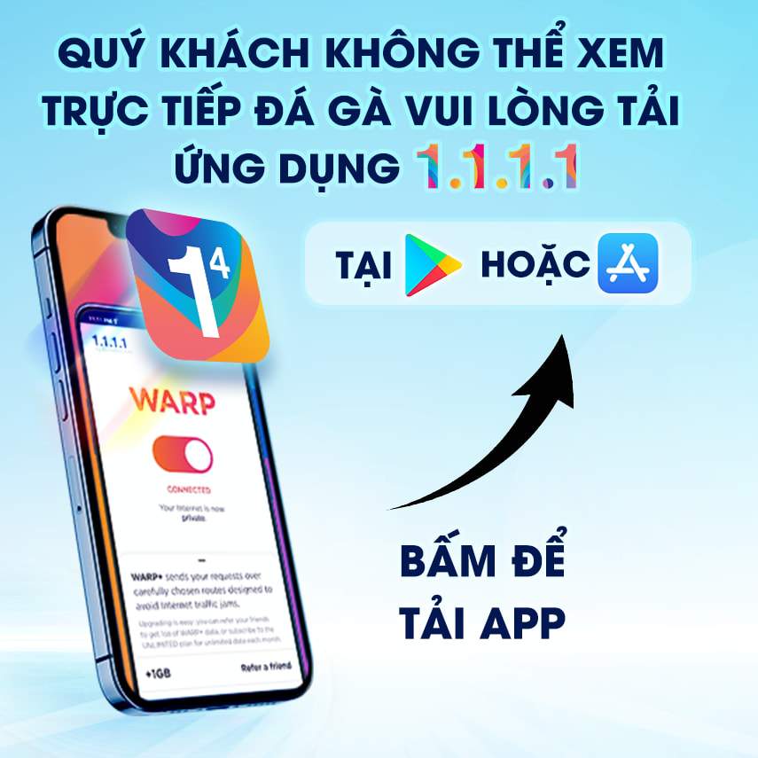 Tải Ứng Dụng 1.1.1.1 để xem trực tiếp đá gà thomo