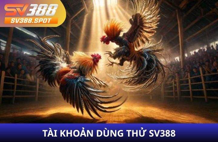 Trải nghiệm tài khoản dùng thử SV388 Trải nghiệm tài khoản dùng thử SV388