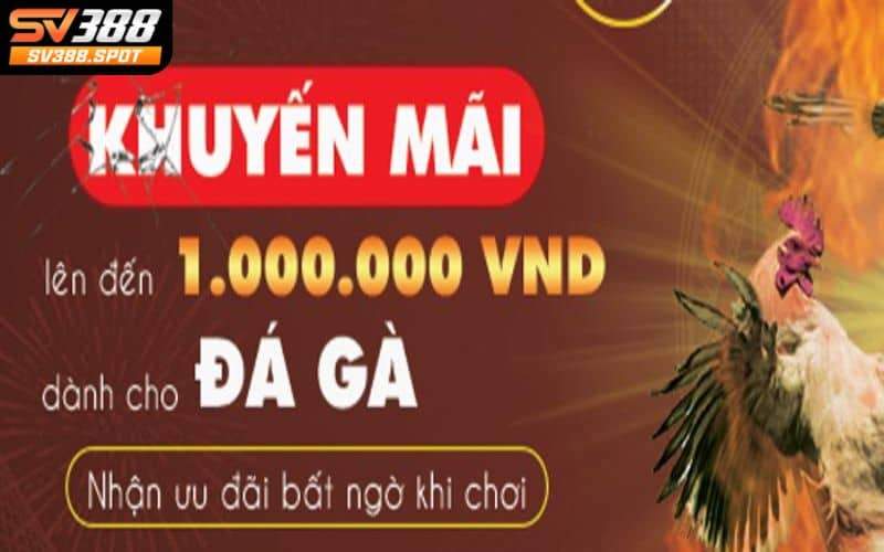 Chương trình khuyến mãi hấp dẫn Chương trình khuyến mãi hấp dẫn